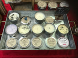 Lavineyard Farms